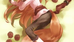 Spice and wolf animal ears Holo The Wise Wolf inumimi