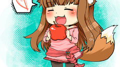 Spice and wolf animal ears Holo The Wise Wolf inumimi