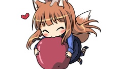 Spice and wolf animal ears Holo The Wise Wolf inumimi