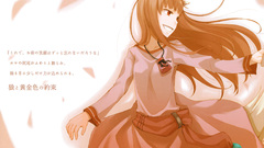 Spice and wolf animal ears Holo The Wise Wolf inumimi