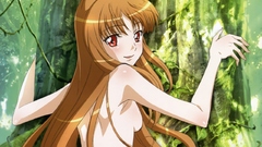 Spice and wolf animal ears Holo The Wise Wolf inumimi