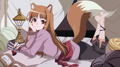 Spice and wolf animal ears Holo The Wise Wolf inumimi