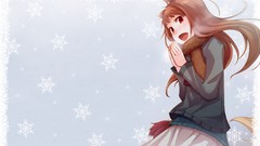 Spice and wolf animal ears Holo The Wise Wolf inumimi