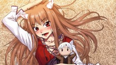 Spice and wolf animal ears Holo The Wise Wolf inumimi
