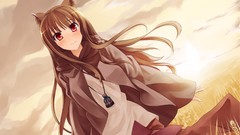 Spice and wolf animal ears Holo The Wise Wolf inumimi