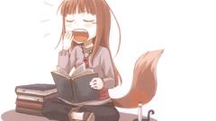Spice and wolf animal ears Simple Background Holo The Wise Wolf 