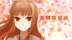 Spice and wolf Anime