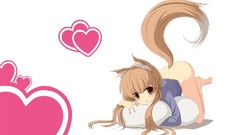 Spice and wolf artwork