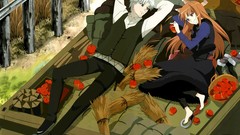 Spice and wolf craft