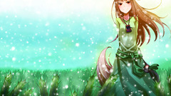 Spice and wolf fields