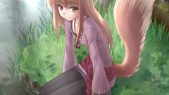 Spice and wolf Holo