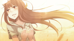 Spice and wolf Holo