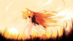 Spice and wolf Holo