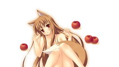 Spice and wolf Holo