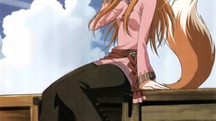 Spice and wolf Holo The Wise Wolf
