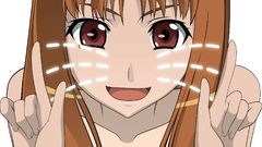 Spice and wolf Holo The Wise Wolf