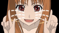 Spice and wolf Holo The Wise Wolf