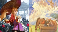 Spice and wolf Holo The Wise Wolf