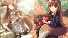 Spice and wolf Holo The Wise Wolf