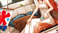 Spice and wolf Lawrence Holo The Wise Wolf