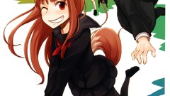 Spice and wolf Lawrence Holo The Wise Wolf