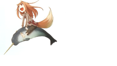 Spice and wolf Narwhal