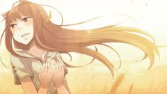 Spice and wolf nekomimi