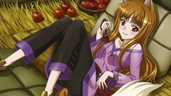 Spice and wolf nekomimi