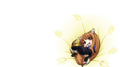 Spice and wolf nekomimi