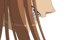 Spice and wolf transparent
