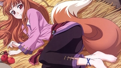 Spice wolf Anime
