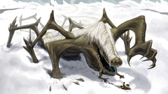 Spider Beast high Resolution