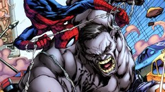 Spider-Man comics superheroes Hulk (comic character)