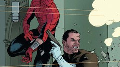 Spider-Man The Punisher comics