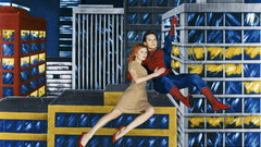 Spiderman done widescreen Movie