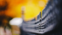 Spikes fences bokeh blurred background depth of field