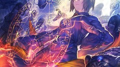 Spirit ants anime girls touhou animal ears yakumo ran video 