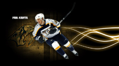 Sport paul kariya hockey