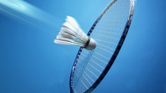 Sports badminton