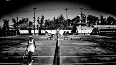 Sports black and white woman tennis monochrome blondes maria 