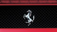 Sports cars Ferrari vehicles ferrari enzo