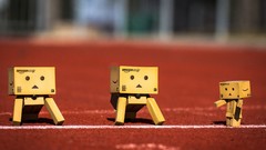Sports danboard