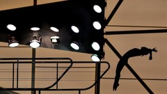 Sports diving World Cup