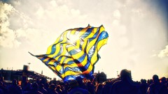 Sports Fenerbahce football fans