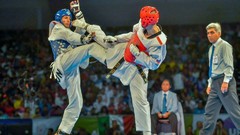 Sports fight Fighting kick WTF olympics taekwondo kicking