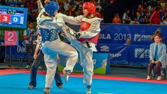 Sports fight Fighting kick WTF olympics taekwondo kicking