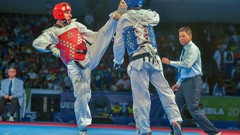 Sports fight Fighting kick WTF olympics taekwondo kicking