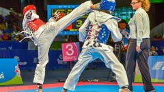Sports fight Fighting kick WTF olympics taekwondo kicking