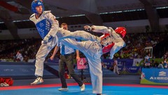 Sports fight Fighting kick WTF olympics taekwondo kicking
