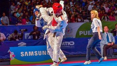 Sports fight Fighting kick WTF olympics taekwondo kicking